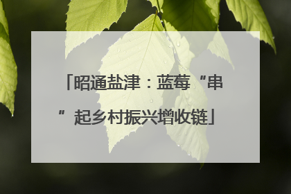 昭通盐津：蓝莓“串”起乡村振兴增收链