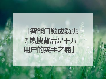 智能门锁成隐患？热搜背后是千万用户的夹手之痛