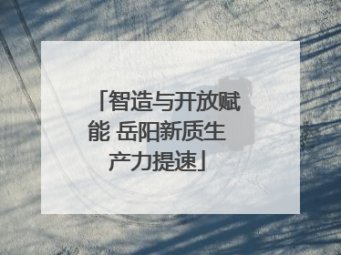 智造与开放赋能 岳阳新质生产力提速