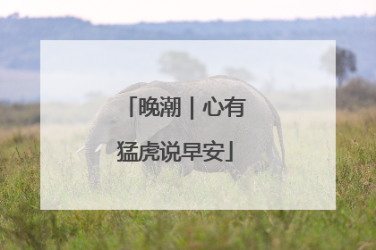 晚潮｜心有猛虎说早安