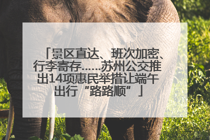 景区直达、班次加密、行李寄存……苏州公交推出14项惠民举措让端午出行“路路顺”