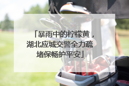 暴雨中的柠檬黄，湖北应城交警全力疏堵保畅护平安