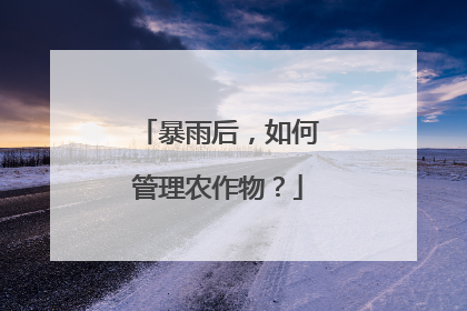 暴雨后，如何管理农作物？
