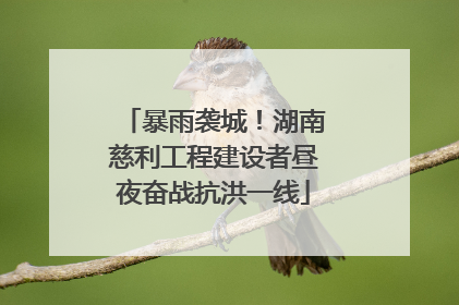 暴雨袭城！湖南慈利工程建设者昼夜奋战抗洪一线