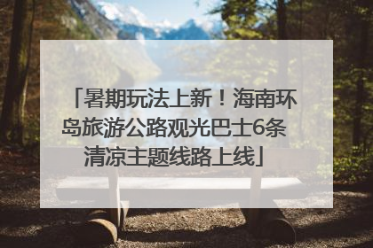 暑期玩法上新！海南环岛旅游公路观光巴士6条清凉主题线路上线