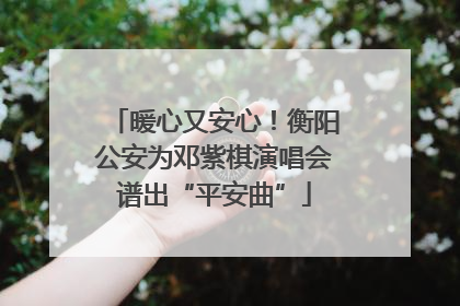 暖心又安心！衡阳公安为邓紫棋演唱会谱出“平安曲”