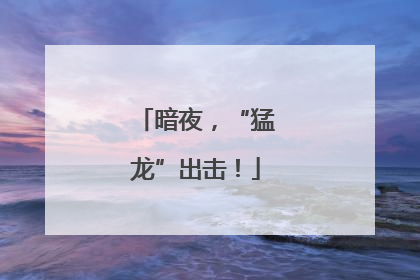 暗夜，“猛龙”出击！