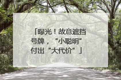 曝光！故意遮挡号牌，“小聪明”付出“大代价”