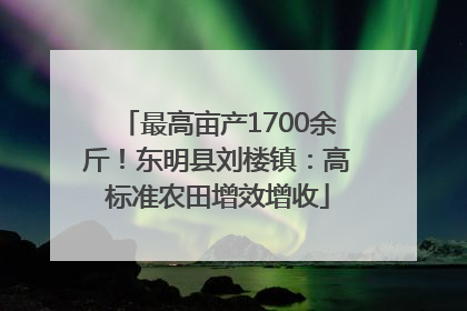 最高亩产1700余斤！东明县刘楼镇：高标准农田增效增收
