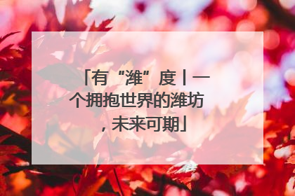 有“潍”度丨一个拥抱世界的潍坊，未来可期