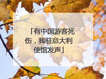 有中国游客死伤，我驻意大利使馆发声