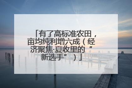 有了高标准农田，亩均纯利增六成（经济聚焦·夏收里的“新选手”）