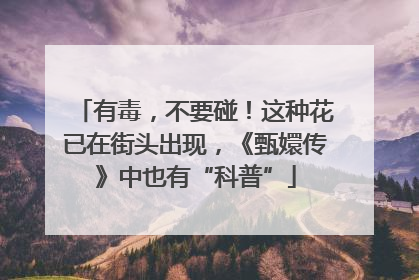 有毒，不要碰！这种花已在街头出现，《甄嬛传》中也有“科普”