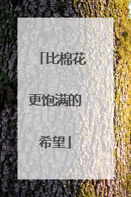 比棉花更饱满的希望