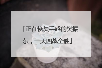 正在恢复手感的樊振东，一天四战全胜
