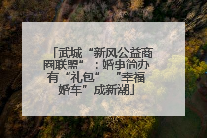 武城“新风公益商圈联盟”：婚事简办有“礼包” “幸福婚车”成新潮