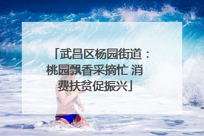 武昌区杨园街道：桃园飘香采摘忙 消费扶贫促振兴