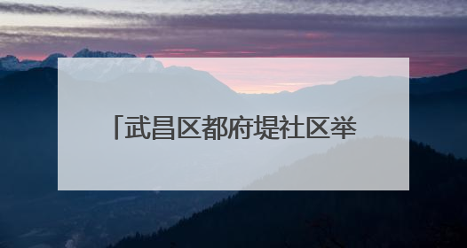 武昌区都府堤社区举办“红巷传薪火”主题活动 探索党建引领基层治理新路径