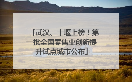 武汉、十堰上榜！第一批全国零售业创新提升试点城市公布