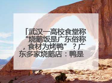 武汉一高校食堂称“烧鹅饭是广东俗称，食材为烤鸭”？广东多家烧鹅店：鸭是鸭鹅是鹅