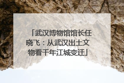 武汉博物馆馆长任晓飞：从武汉出土文物看千年江城变迁