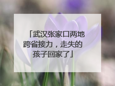 武汉张家口两地跨省接力，走失的孩子回家了