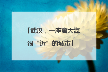 武汉，一座离大海很“近”的城市