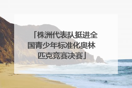 株洲代表队挺进全国青少年标准化奥林匹克竞赛决赛