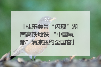 桂东美景“闪现”湖南高铁地铁 “中国氧都”清凉邀约全国客