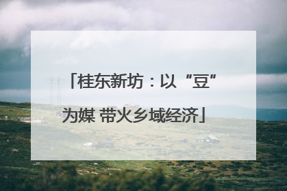 桂东新坊：以“豆”为媒 带火乡域经济
