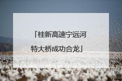 桂新高速宁远河特大桥成功合龙