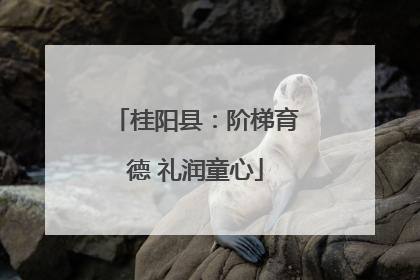 桂阳县：阶梯育德 礼润童心