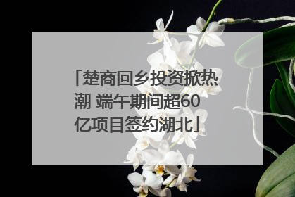 楚商回乡投资掀热潮 端午期间超60亿项目签约湖北