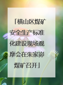 横山区煤矿安全生产标准化建设现场观摩会在朱家峁煤矿召开
