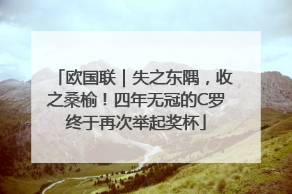 欧国联｜失之东隅，收之桑榆！四年无冠的C罗终于再次举起奖杯