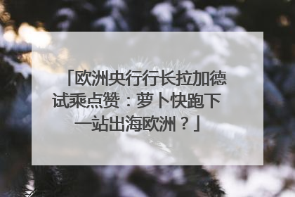 欧洲央行行长拉加德试乘点赞：萝卜快跑下一站出海欧洲？