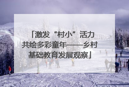 激发“村小”活力 共绘多彩童年——乡村基础教育发展观察