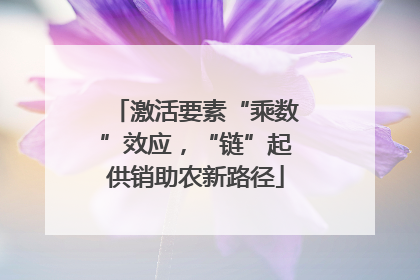 激活要素“乘数”效应，“链”起供销助农新路径
