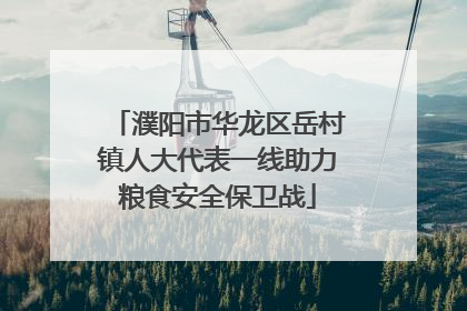 濮阳市华龙区岳村镇人大代表一线助力粮食安全保卫战