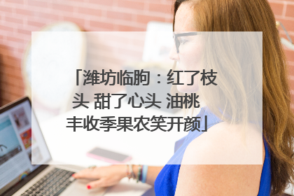 潍坊临朐：红了枝头 甜了心头 油桃丰收季果农笑开颜