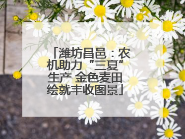 潍坊昌邑：农机助力“三夏”生产 金色麦田绘就丰收图景