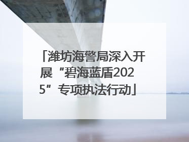 潍坊海警局深入开展“碧海蓝盾2025”专项执法行动