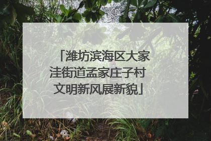 潍坊滨海区大家洼街道孟家庄子村文明新风展新貌