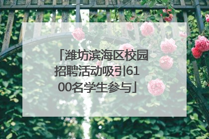潍坊滨海区校园招聘活动吸引6100名学生参与