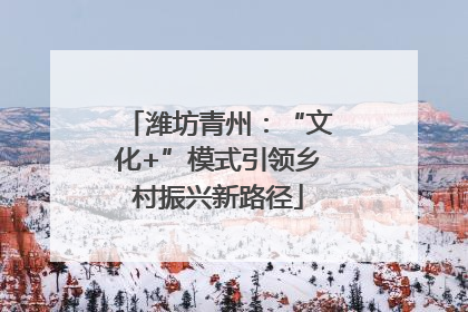 潍坊青州：“文化+”模式引领乡村振兴新路径