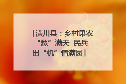 潢川县：乡村果农“愁”满天  民兵出“机”情满园