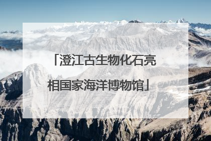 澄江古生物化石亮相国家海洋博物馆