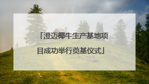 澄迈椰牛生产基地项目成功举行奠基仪式