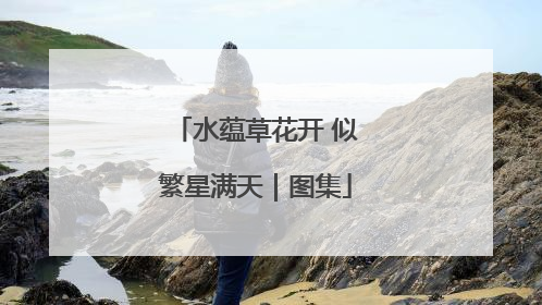 水蕴草花开 似繁星满天｜图集