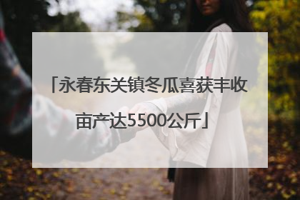 永春东关镇冬瓜喜获丰收 亩产达5500公斤
